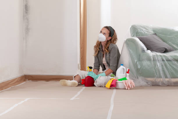 Reliable Mold Remediation contractor in South Holland, IL by 24 Hour Mold Removal